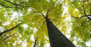 Investing in Climate Change
