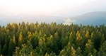 QuantifyingCarbon_Cover_EmailImage